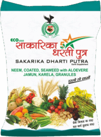 ईको 2000 साकारिका 5* धरती पुत्र